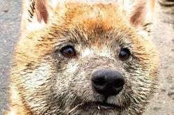 开云官网-巴斯托尼爆发与厄瓜多尔血拼罗马，洲际碰撞下的人性史诗与抗争之魂