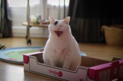 开云体育中国-末节之王梅西，一场跨越时空的足球启示录