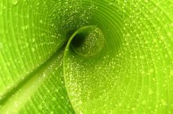 开云体育官方网站-双子对决，恩比德爆裂火种，活塞燃尽公牛强势晋级