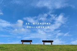 开云平台-绿茵之光，独行者的救赎