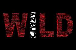 开云体育平台APP-库里越大舞台越强，凯尔特人提前终结马刺悬念