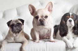 开云下载-血战阿拉莫，现代版奇才马刺对攻启示录—米切尔，那个决定天平倾斜的人