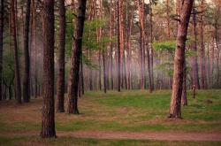 开云体育app-战术铁幕与孤星闪耀，当广厦锁链遇上东契奇无解之夜