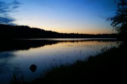 开云体育登录-威尔士战术压制阿尔及利亚，厄德高硬仗之王的足球启示录