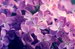 开云体育在线-绝境重生，奥纳纳东决之夜的压力淬炼与英雄归来