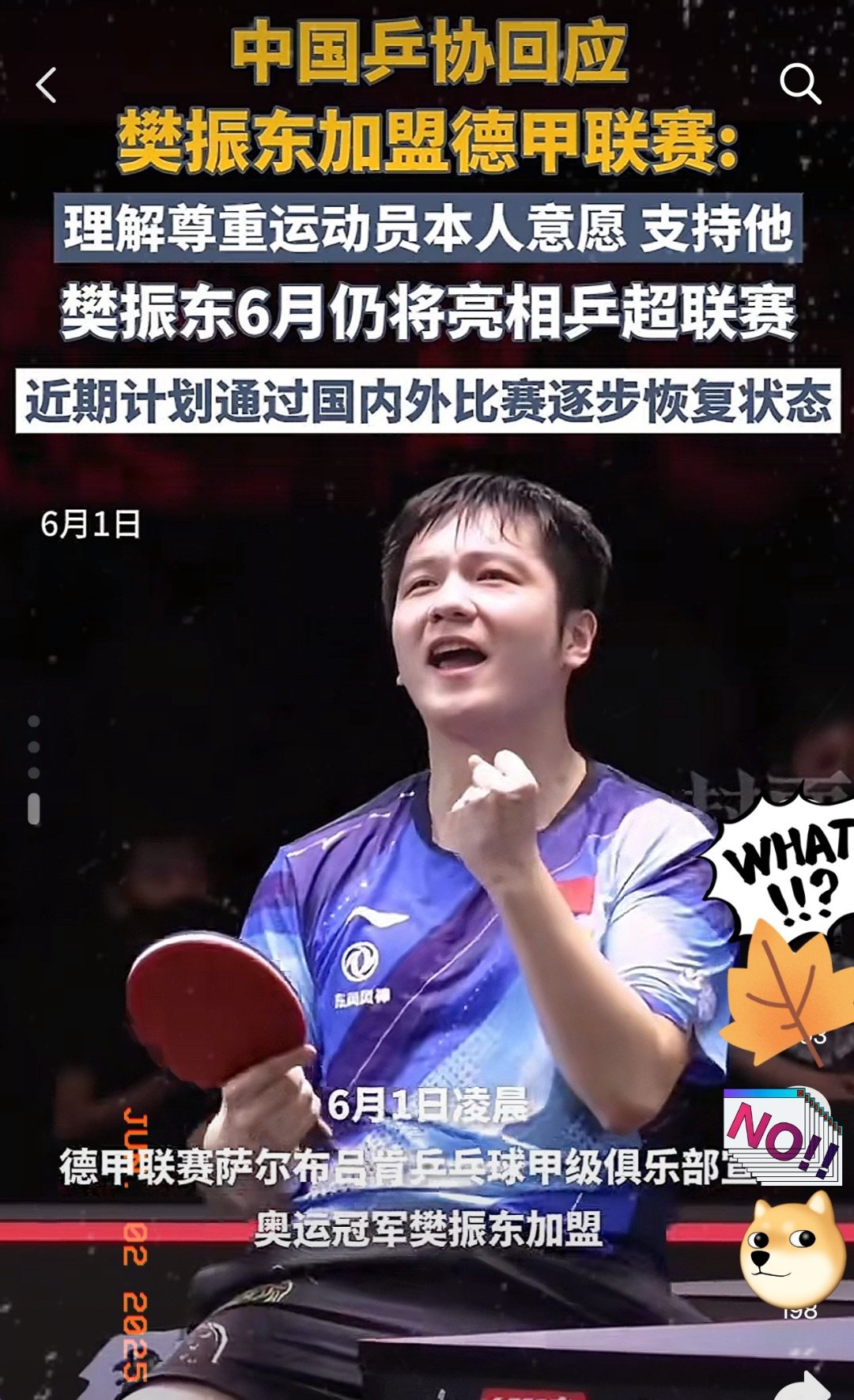 包含波兰乒乓球队绝杀英国乒乓球队，樊振东绝境逆转的词条