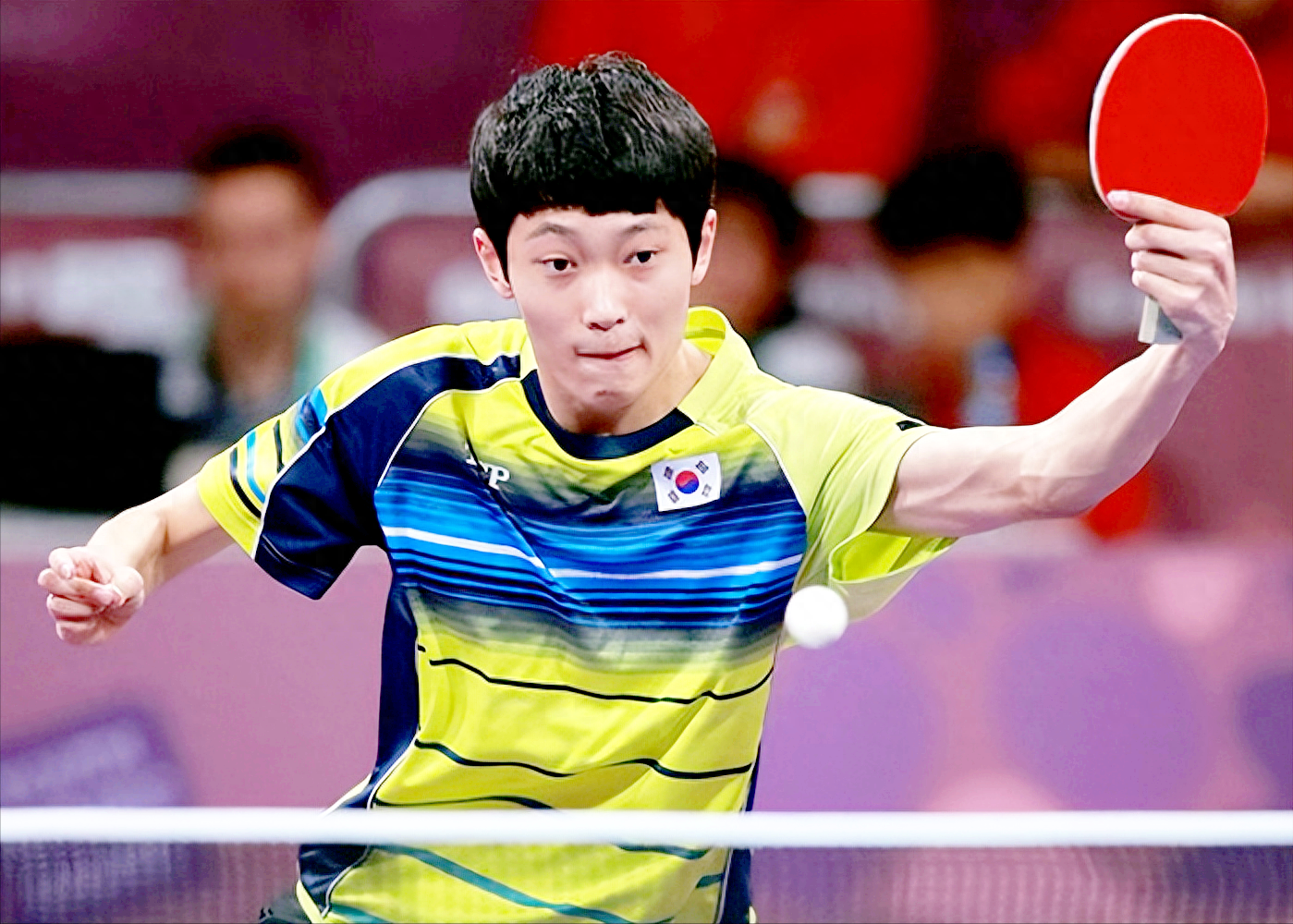 韩国队逆转波兰队，波尔高光表现