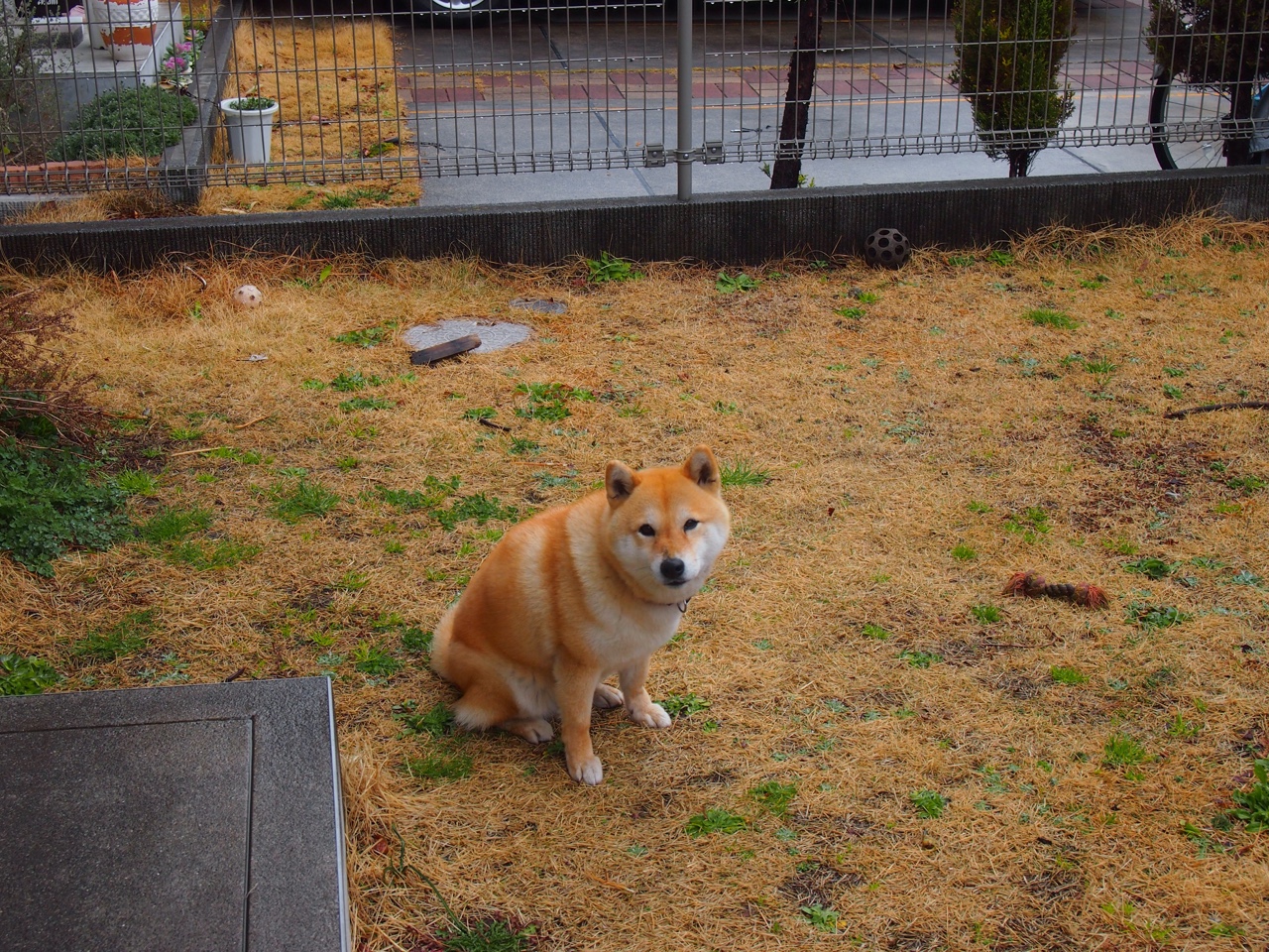 塔图姆生死战狂轰50分!老鹰加时险胜辽宁,CBA冠军憾负NBA黑马