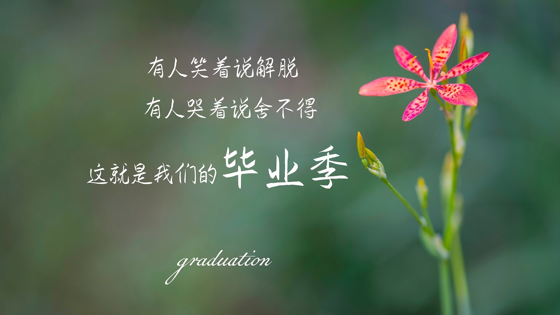 亚特兰大绝境求生！阿坎吉一击定乾坤，加纳军团悲情谢幕