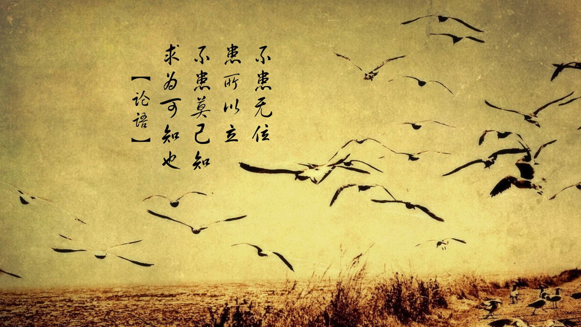 伊拉克决胜局带走尼日利亚，抢七焦点战引爆全球