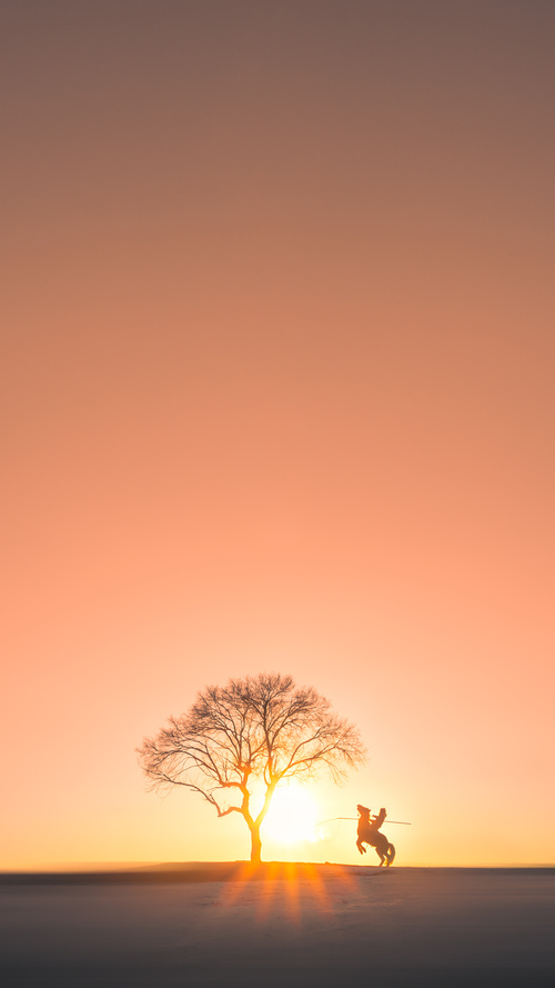 速度与激情，F1年度争冠焦点战与森林狼绝杀76人的竞技史诗