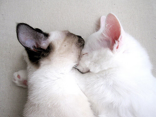 拉文里程碑之夜沦为背景板，奇才团队防守胜过个人英雄主义