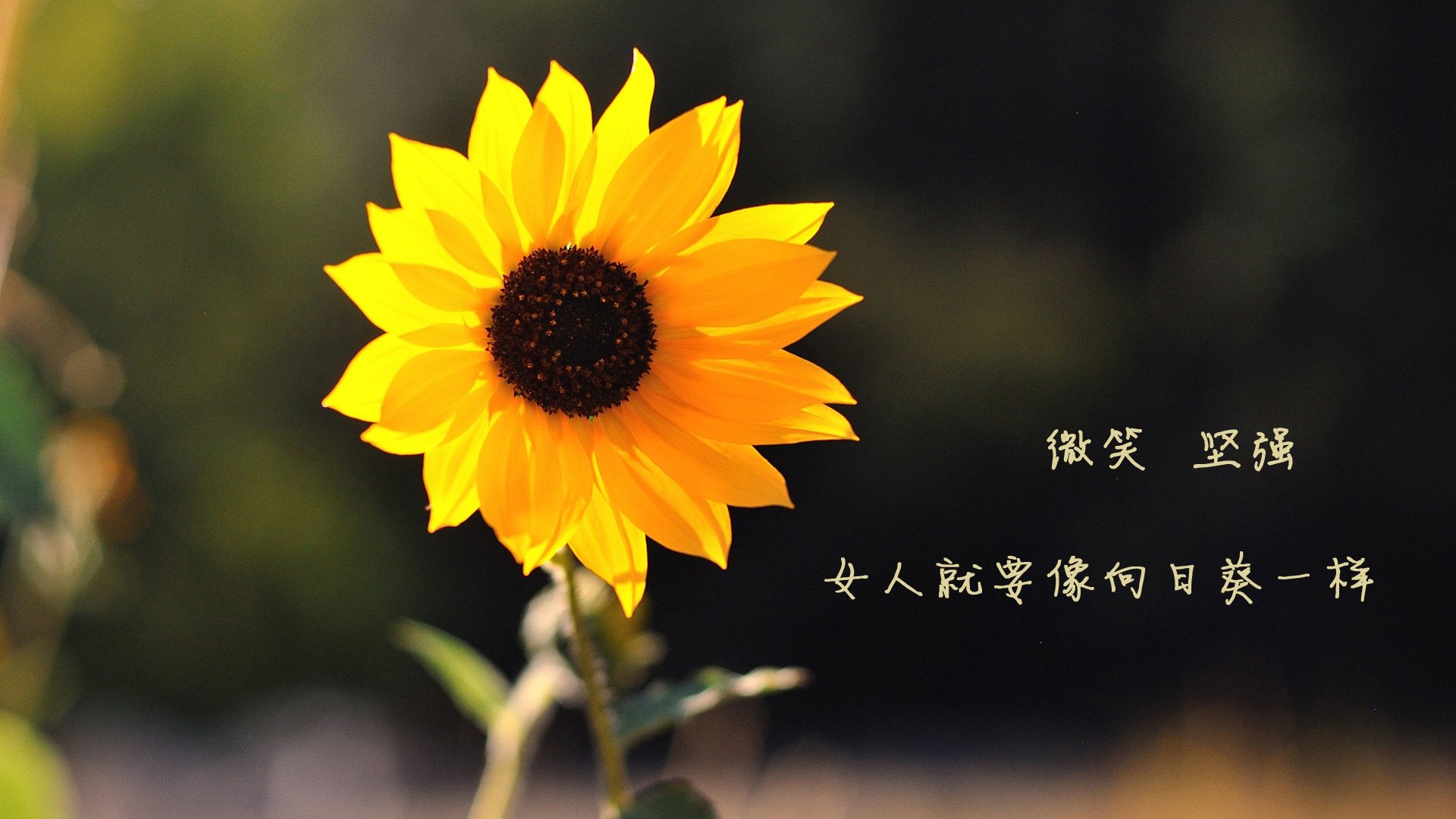 保罗44+9+5统治攻防！上海男篮客场打穿辽宁，总比分扳成1-1