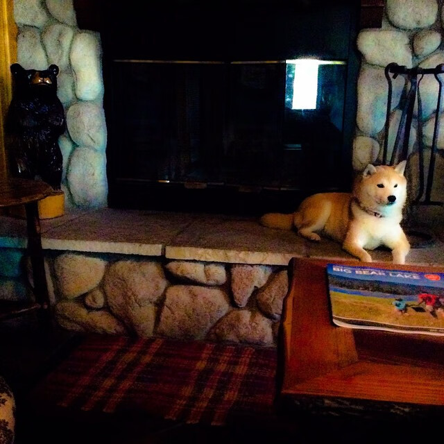 绿茵交响曲,当北欧冷锋摧毁亚平宁堡垒,一位法国少年接过了指挥棒