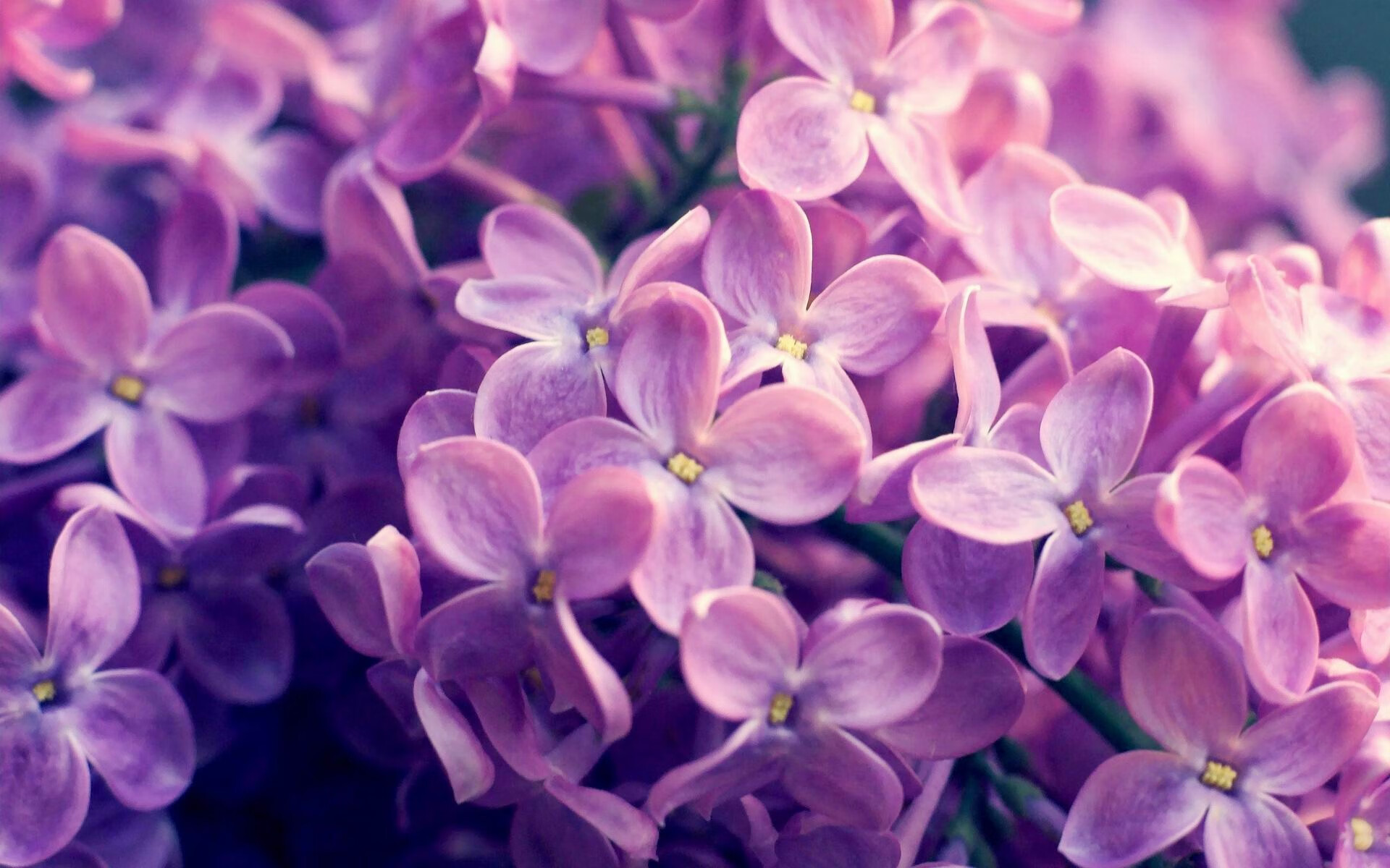 绝境重生，奥纳纳东决之夜的压力淬炼与英雄归来