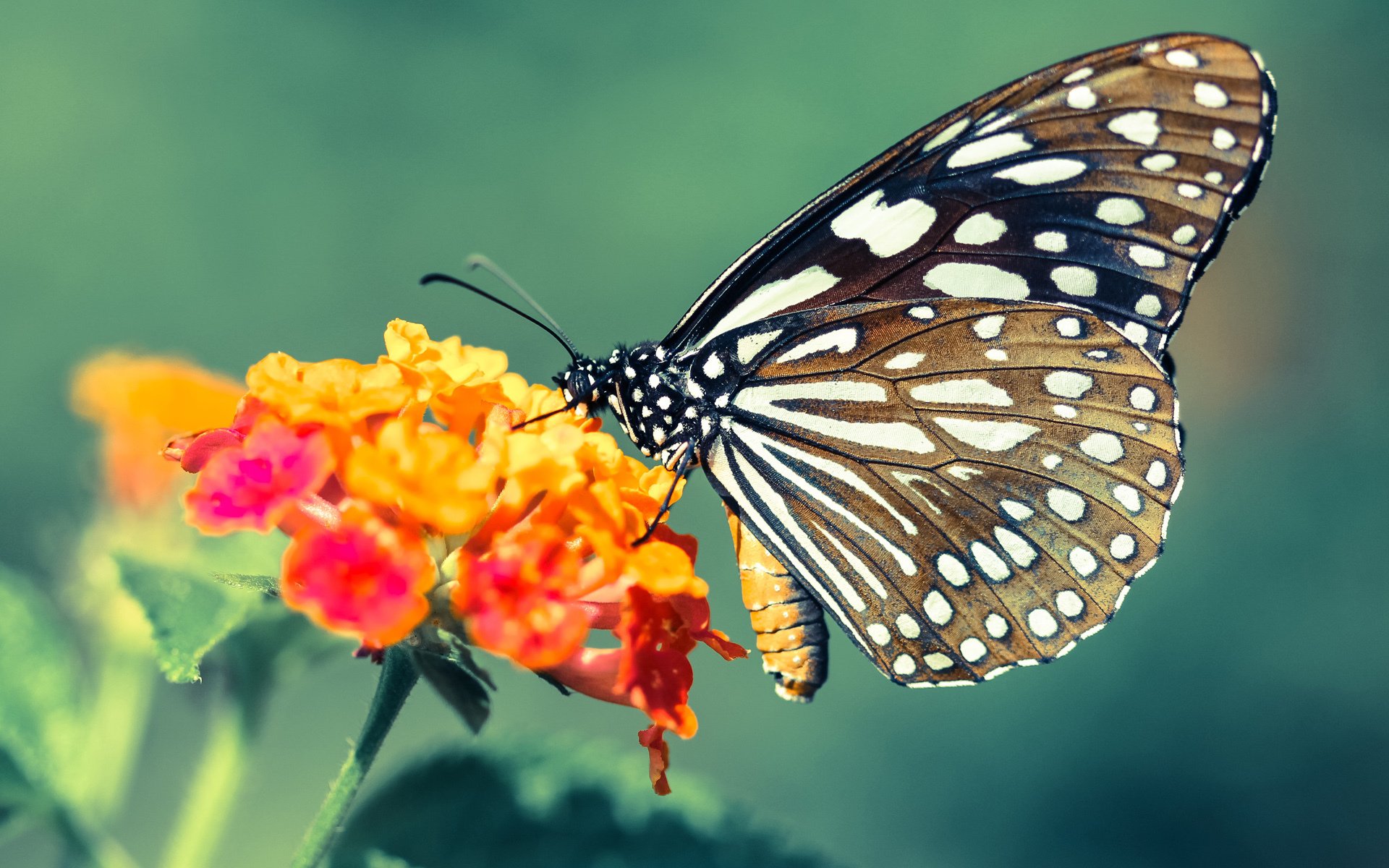 年度焦点之战之夜,本泽马关键进球定乾坤