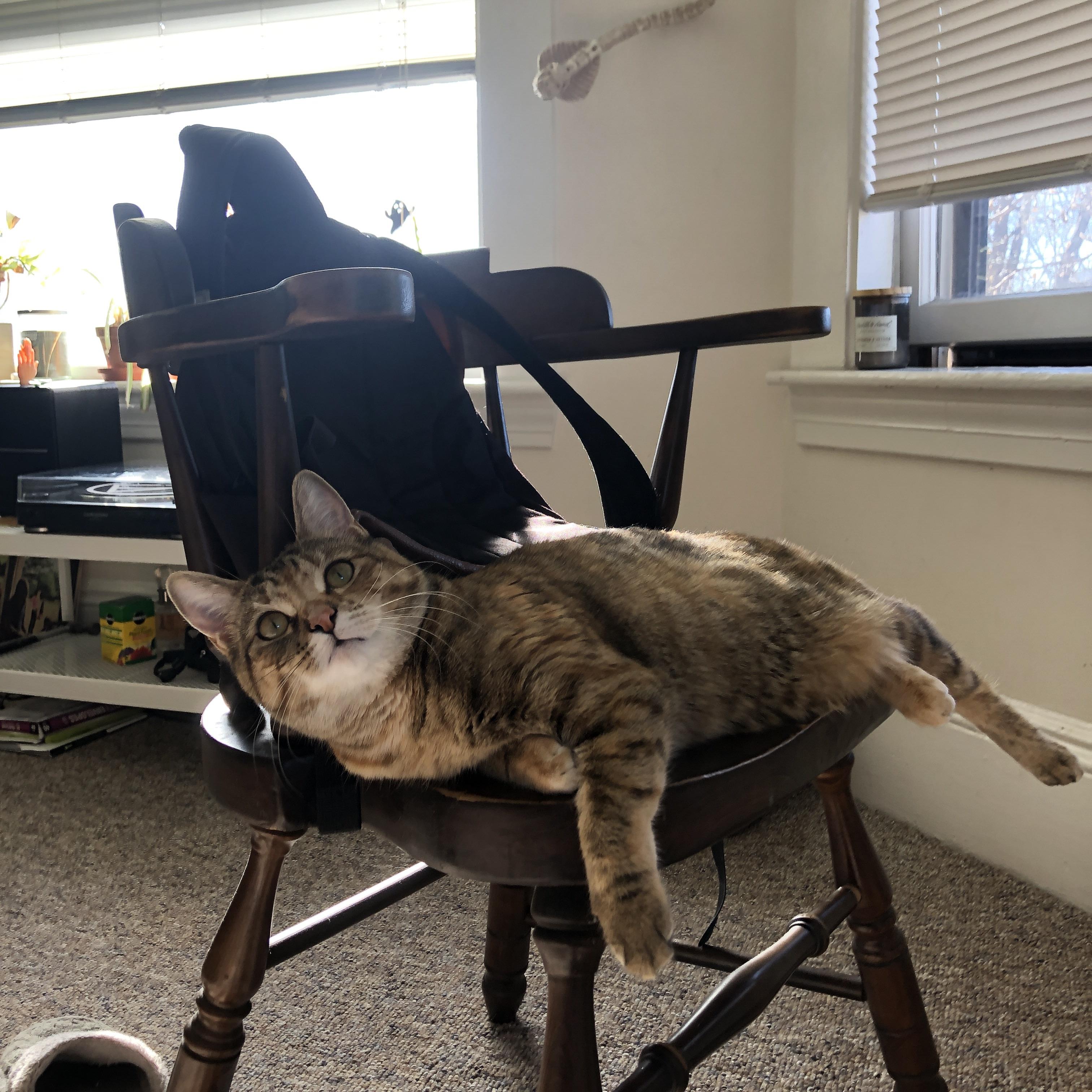 东决关键战之夜，莱奥完成自我救赎，黑暗中的星光终成燎原之火