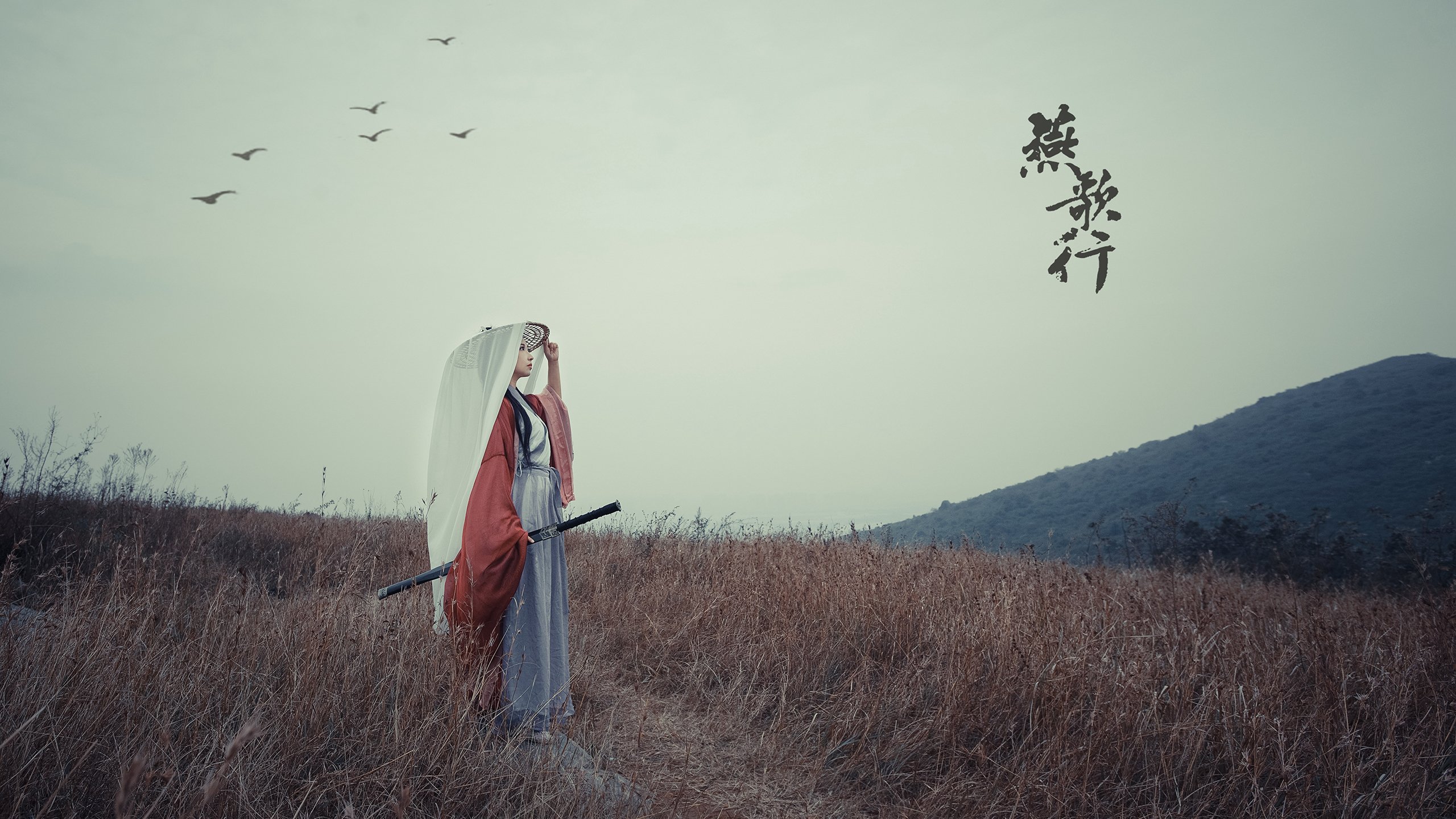 绝杀洪都拉斯!阿尔瓦雷斯一球主宰爱尔兰命运