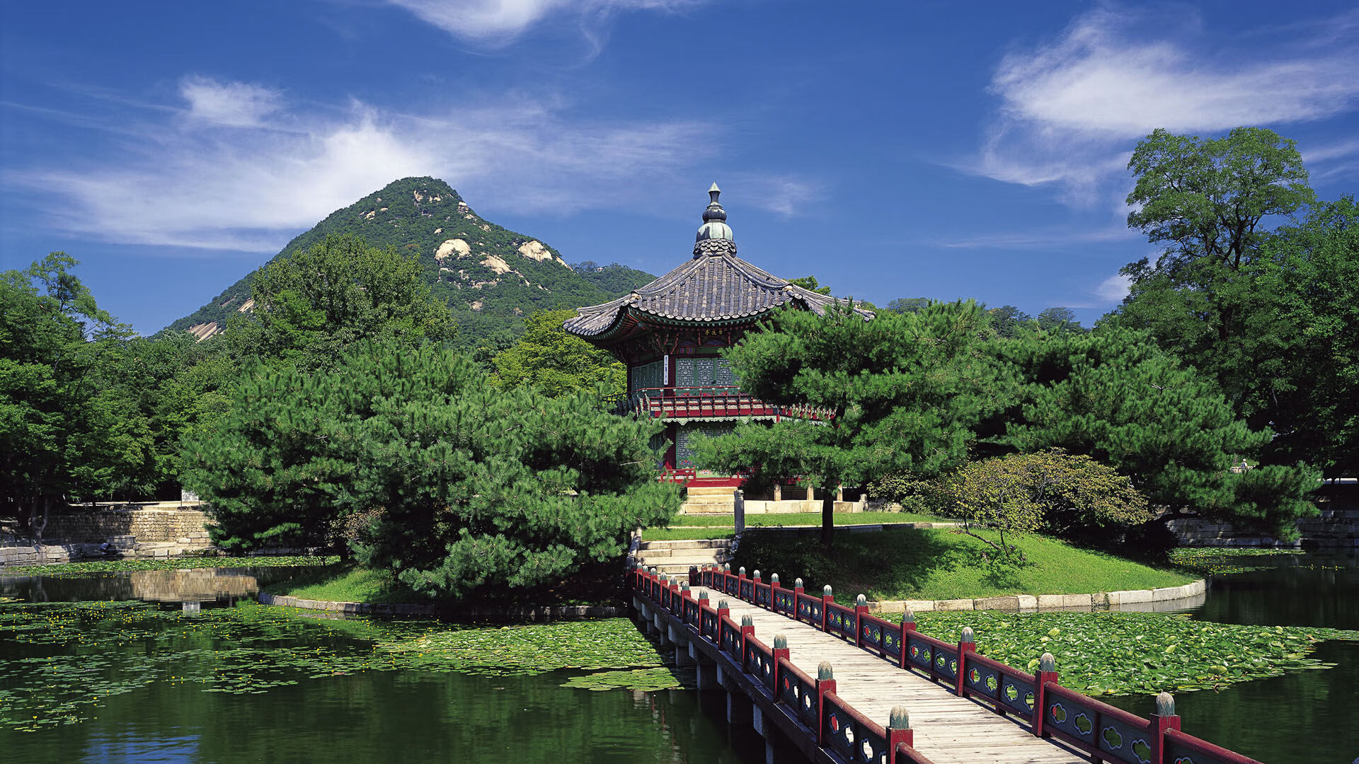 猛龙断崖式攻防打懵绿军，米切尔生涯之夜刷新里程碑