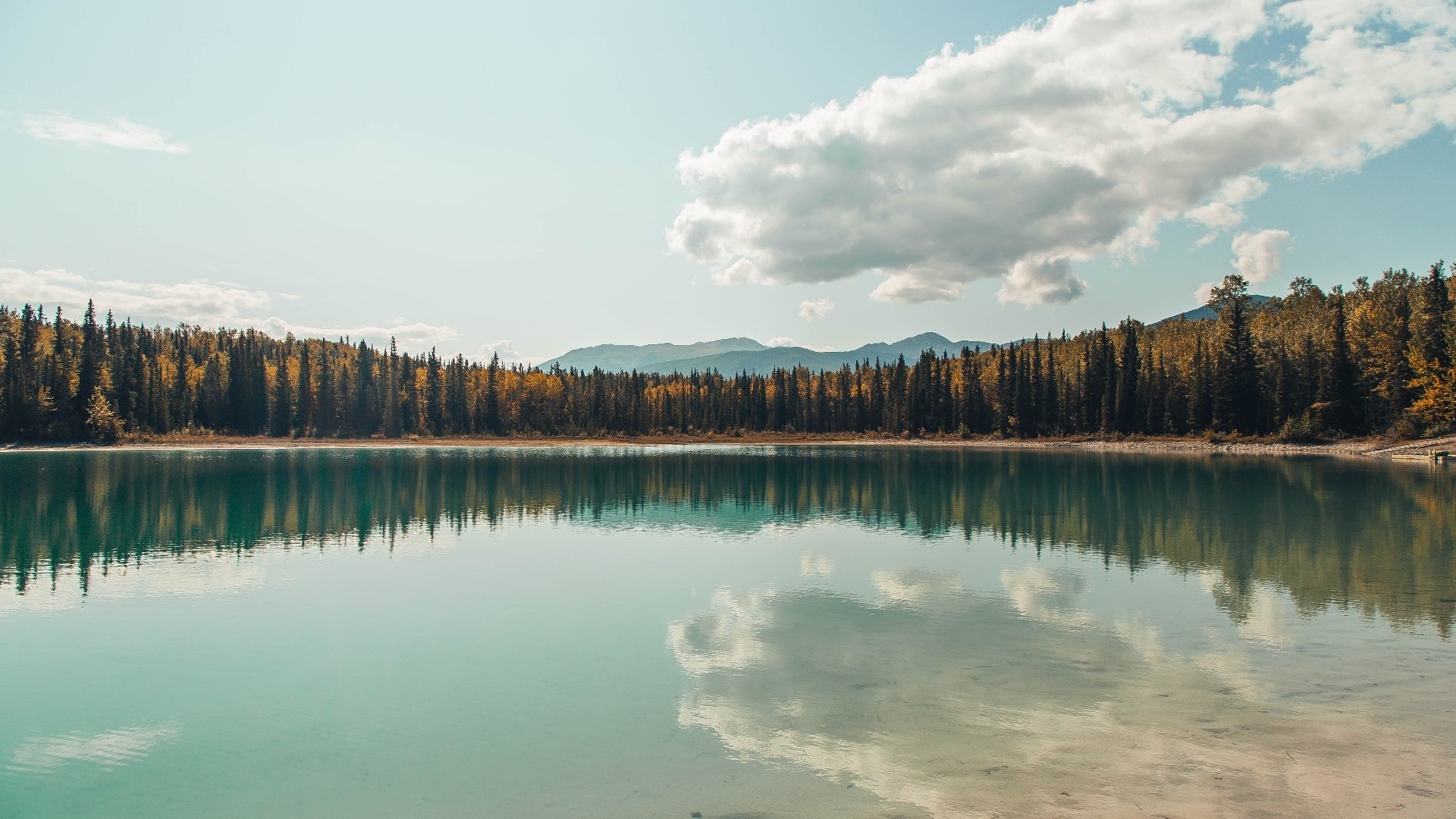 关键先生浴血重燃!活塞冲垮步行者,莫兰特斩获生涯夜
